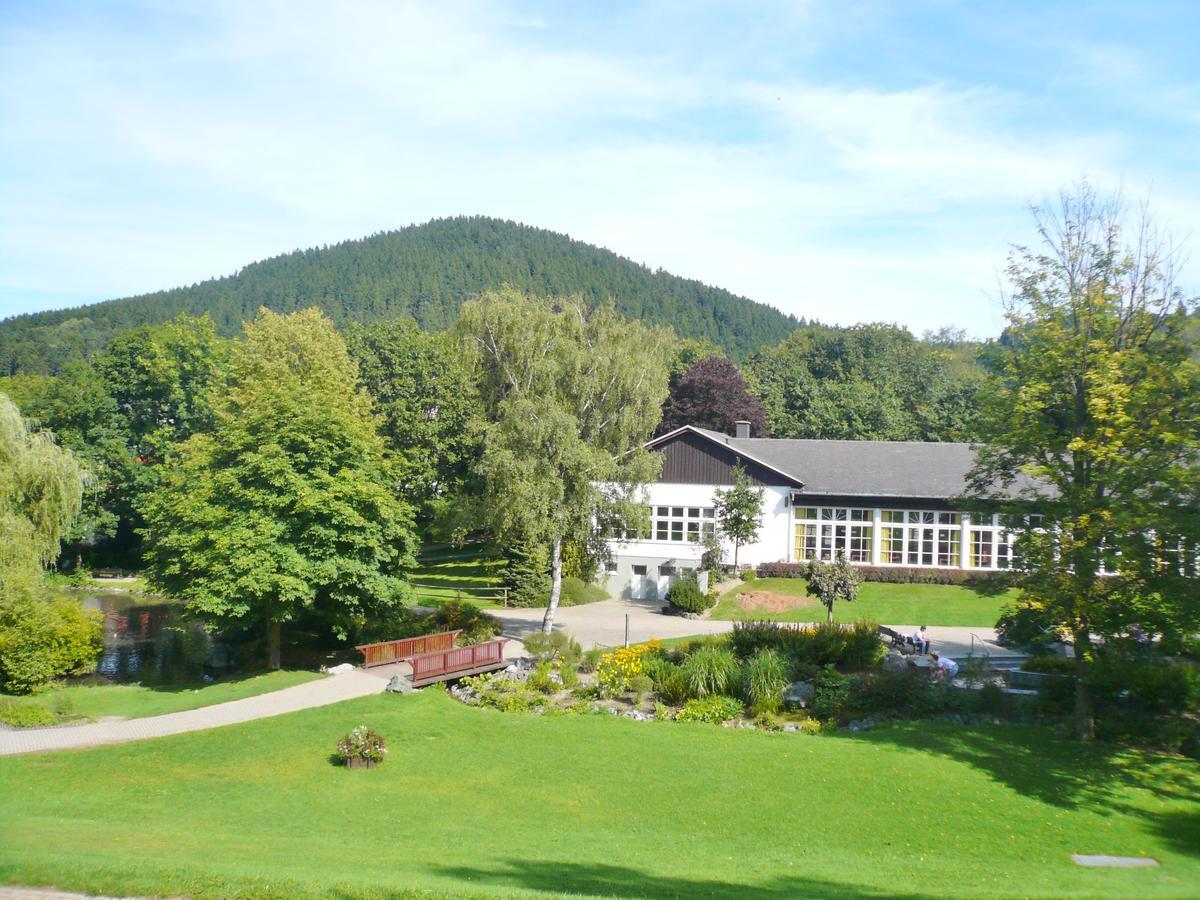 B Am Kurpark Apartment Willingen (Upland)